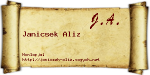 Janicsek Aliz névjegykártya