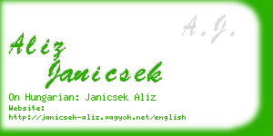aliz janicsek business card